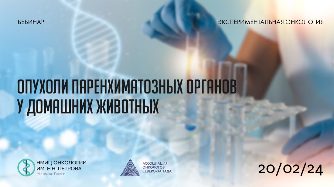 Вебинар «Опухоли паренхиматозных органов у домашних животных»