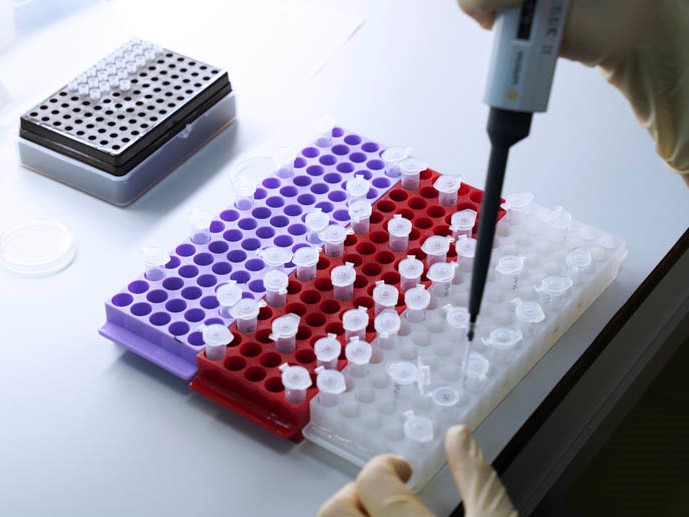 В Центре онкологии им. Н.Н. Петрова оптимизировали выделение нановезикул