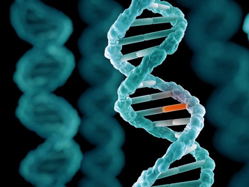 День ДНК: рассказываем о самых прорывных открытиях в области генетики
