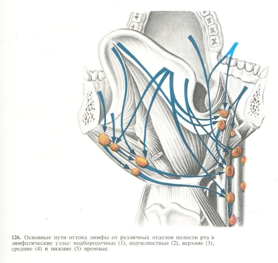 Отличительная черта
