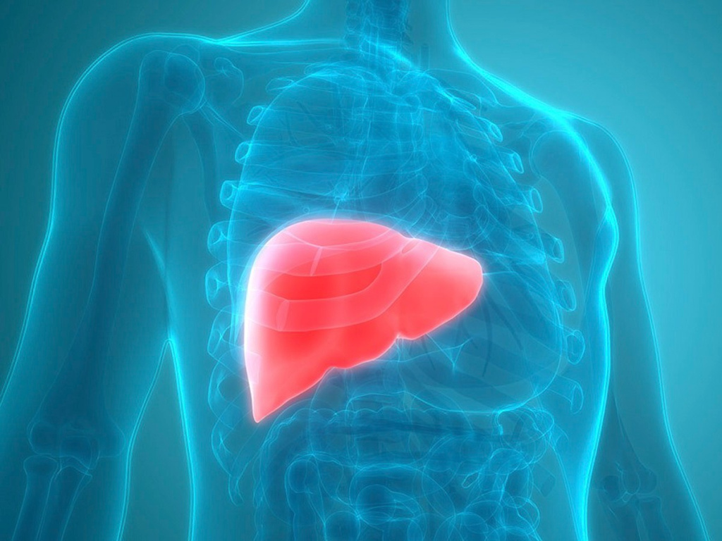 Можно ли предсказать