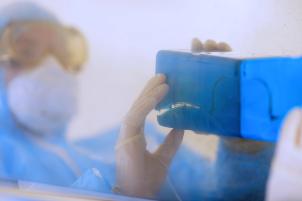 исследования коронавирусной инфекции