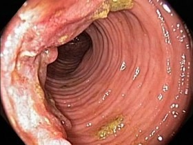 Как выглядит