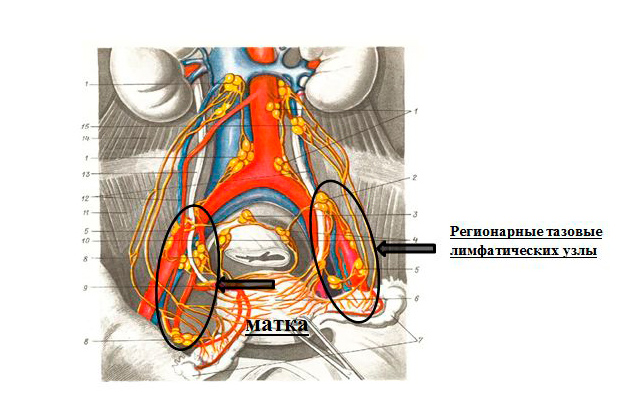 Лечение рака тела