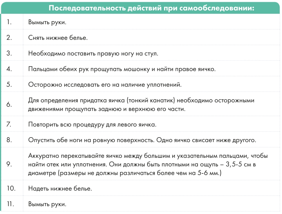 Симптомы опухоли яичка Симптомы опухоли яичка