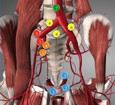 Пути распространения рака