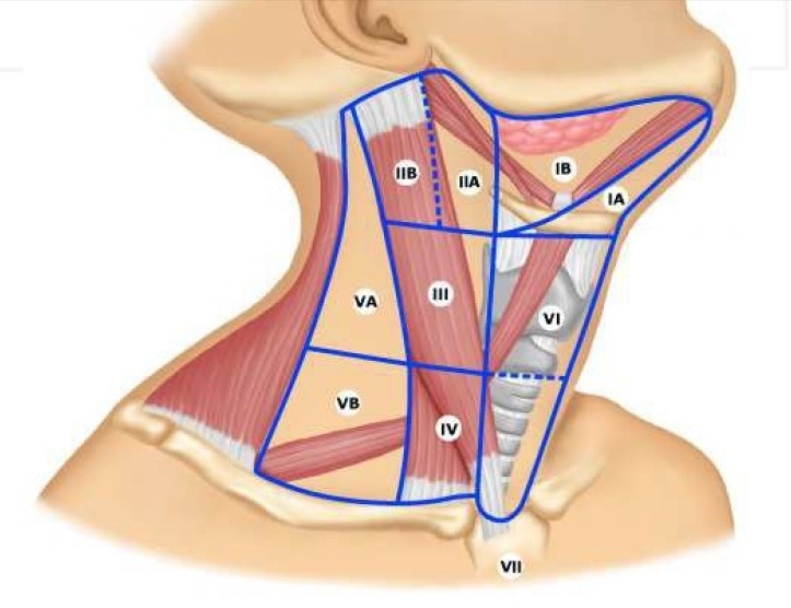 Диагностика