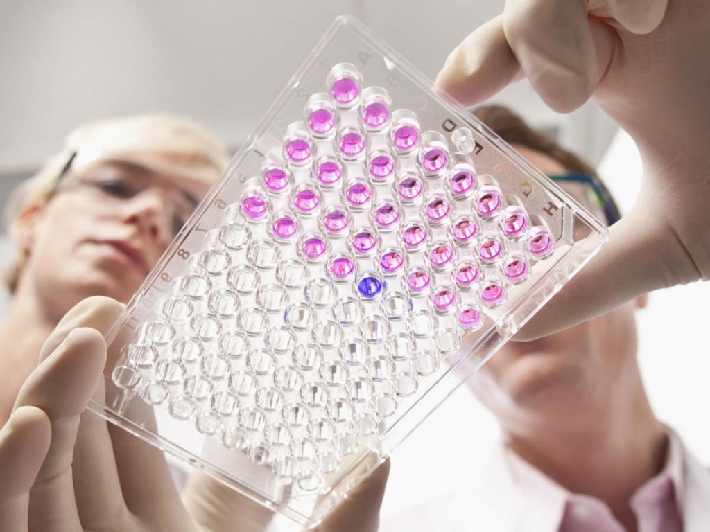 В чём её назначение?