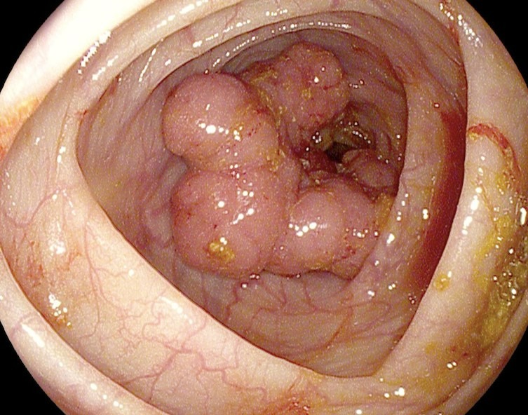 Как выглядит