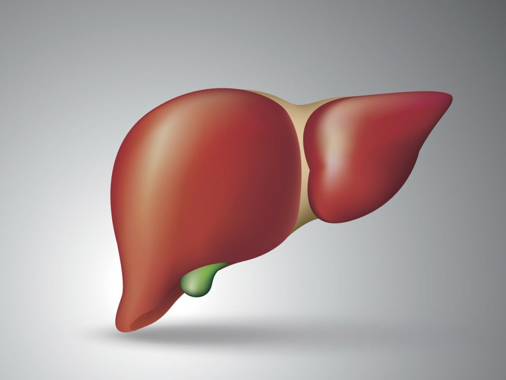 Гепатотоксичность