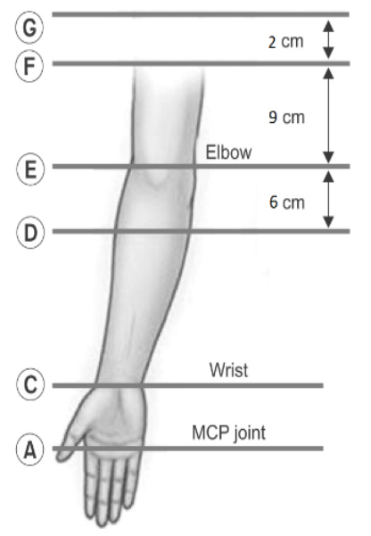 Измерение руки