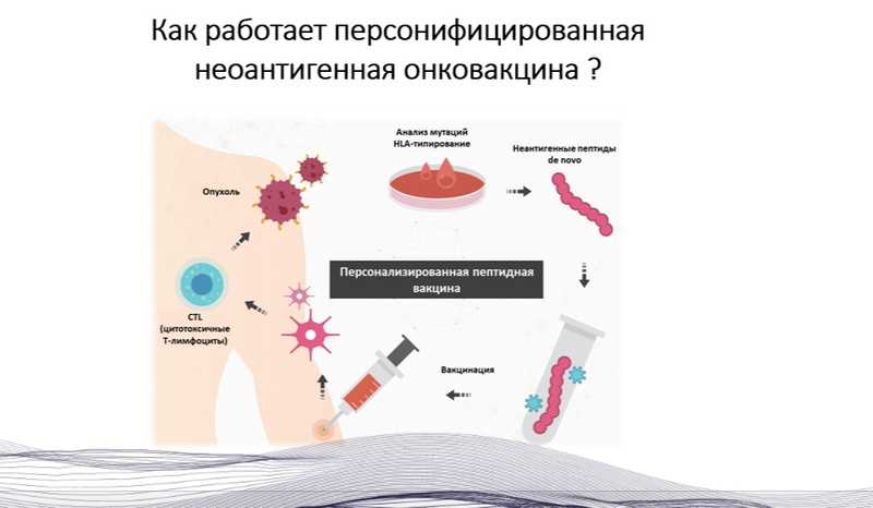 можно отслеживать метаболический ответ опухоли на химиотерапию