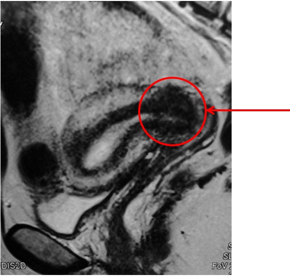 Диагностика