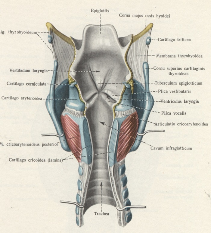 Образование