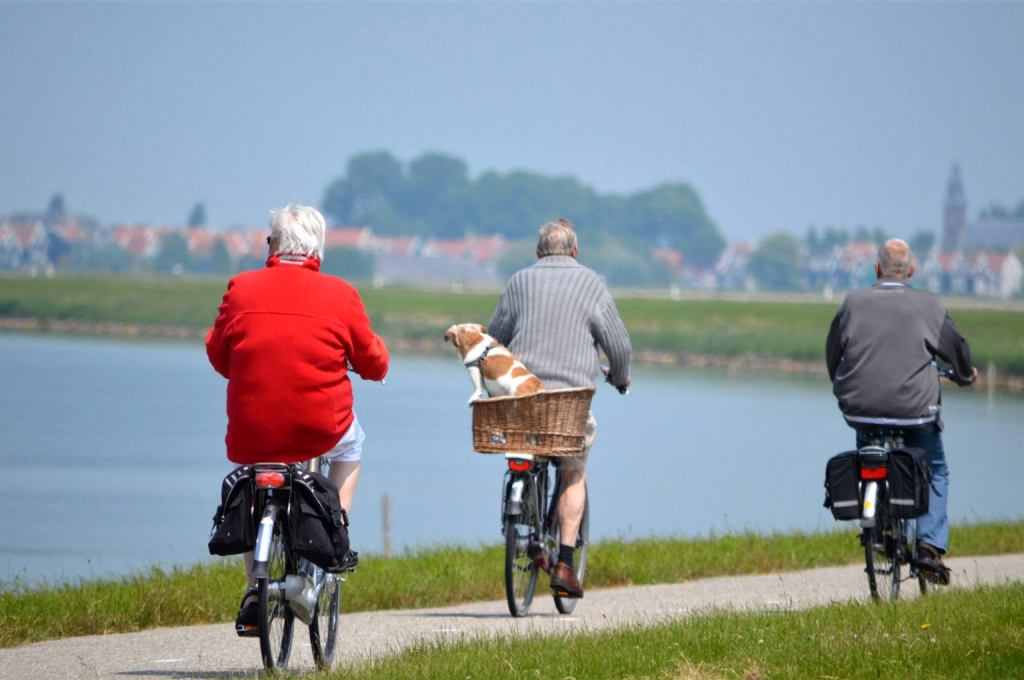 велопрогулки велопрогулки