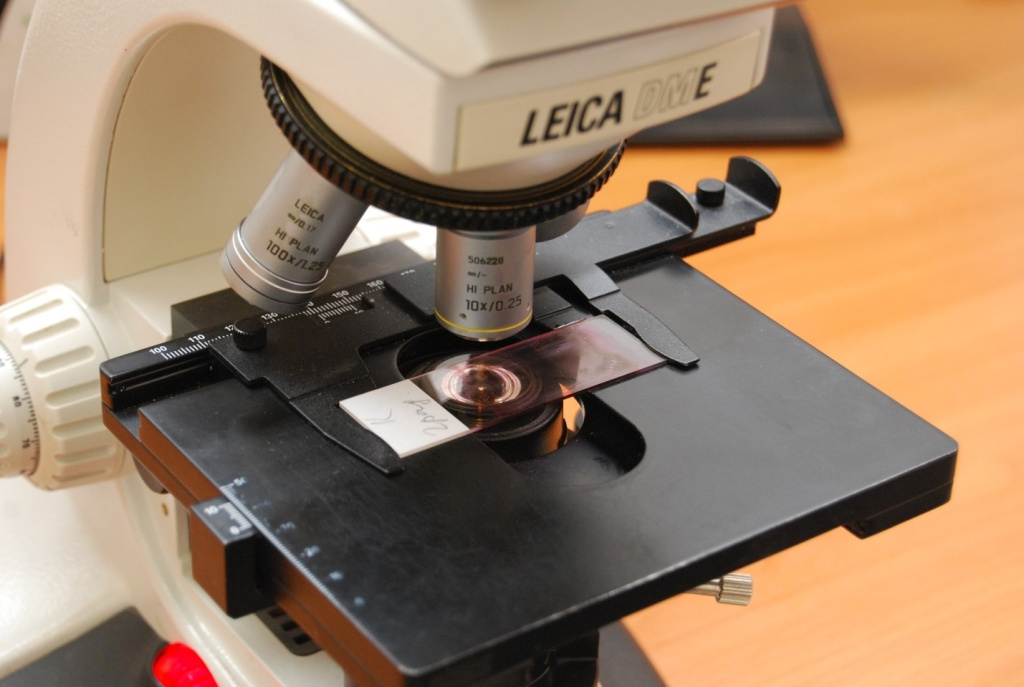 Вопросы о женском здоровье