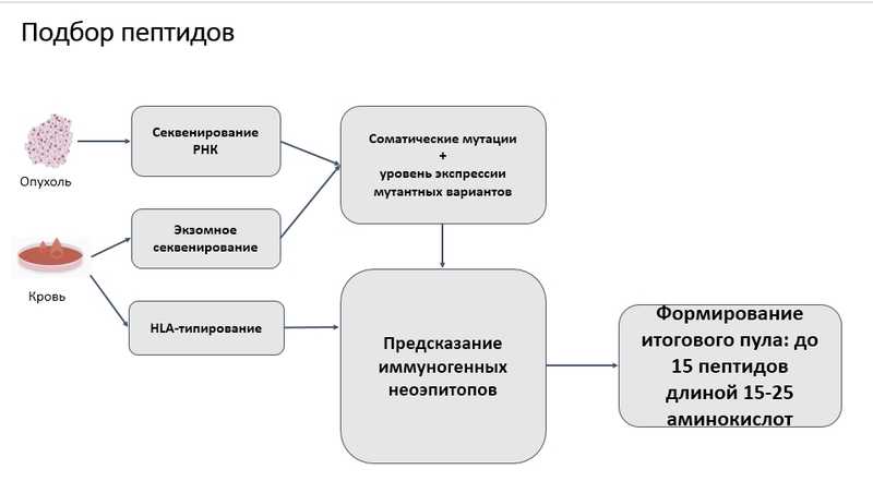 Эффективность вакцины можно проверить экспериментально