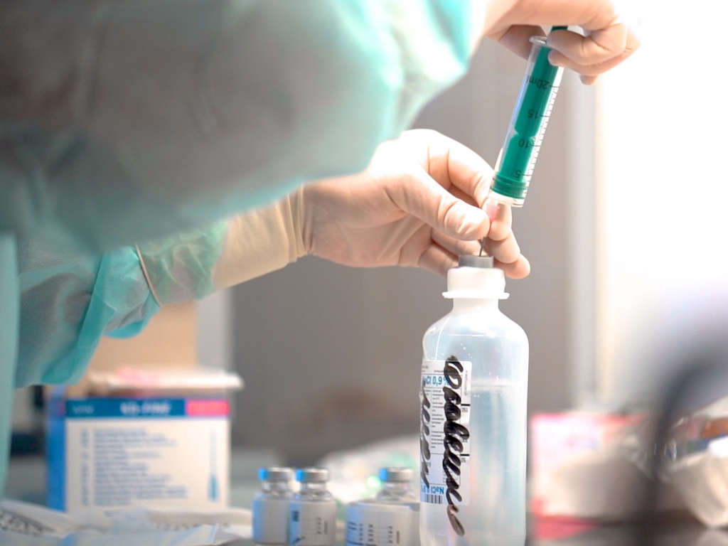 Коронавирус и иммунитет