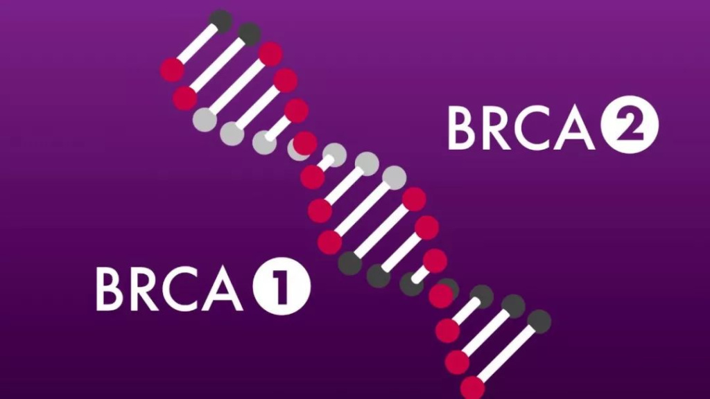 Что такое BRCA?
