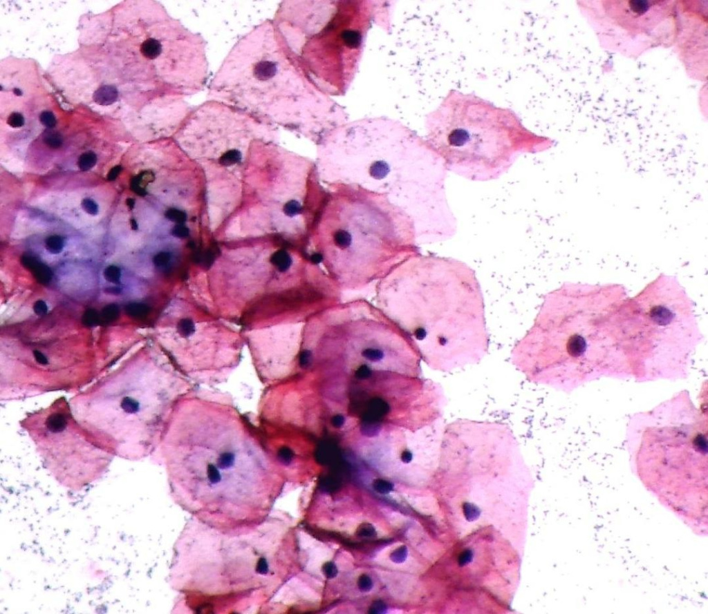 Как выполняется