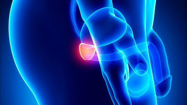 предстательная железа