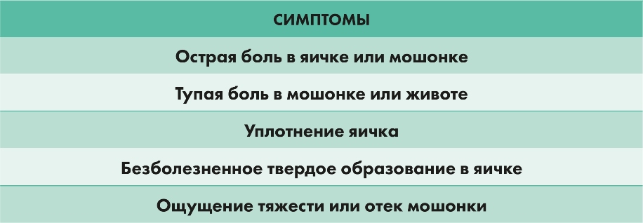 симптомы опухоли яичка симптомы опухоли яичка