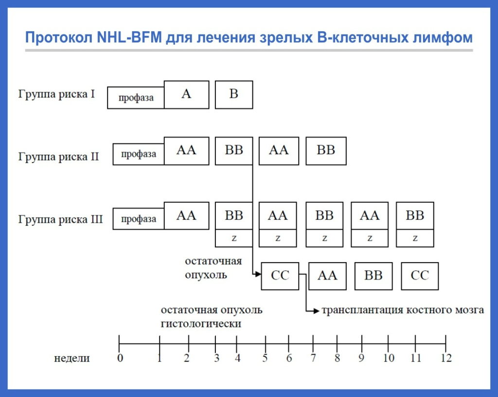 Протокол NHL-BFM