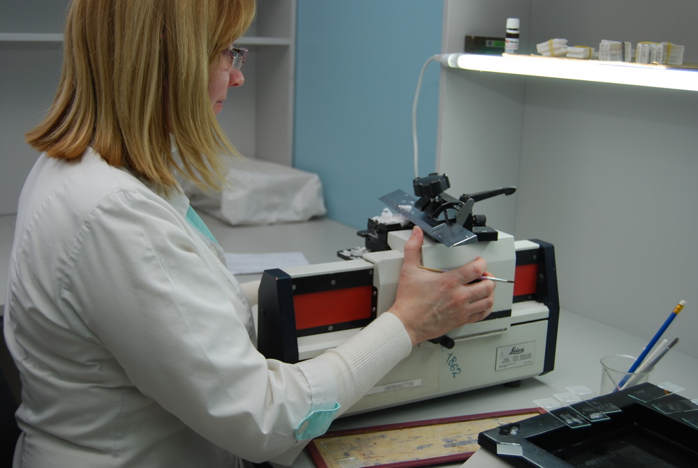 microtomia.jpg microtomia.jpg